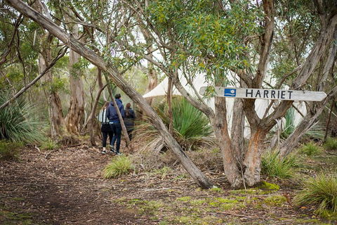 2-Day Kangaroo Island 4WD Small-Group Tour From Adelaide - Accommodation Guide 5