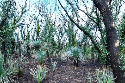 NEW TOUR - Kangaroo Island Road To Recovery Tour (1 Day/1 Night) - Accommodation Asia 3