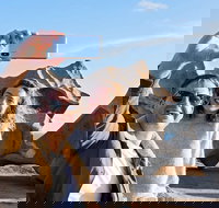 Full-Day Kangaroo Island Experience Departing from Kangaroo Island - Accommodation Guide