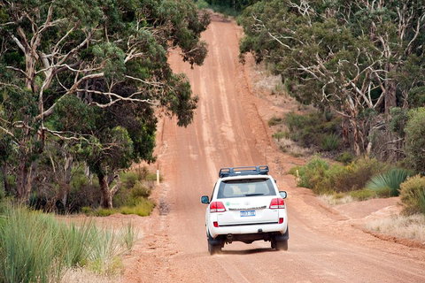Small-Group Kangaroo Island 4WD Tour From Adelaide - Accommodation China 3