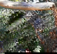 Small-Group Great Ocean Road Day Trip from Melbourne - Accommodation China