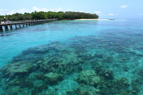 Cairns City Sights And Surrounds Tour - Accommodation Guide 1