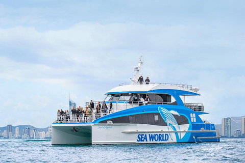 Whale Watching By Sea World Cruises - Accommodation Guide 3