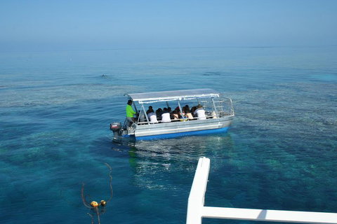 Seastar Luxury Outer Great Barrier Reef Island And Reef Tour From Cairns - Accommodation Guide 5