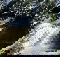 Cradle Mountain Day Tour from Launceston Including Lunch - Accommodation China