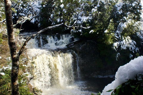 Cradle Mountain Park Explorer Guided Tour - Accommodation Guide 4