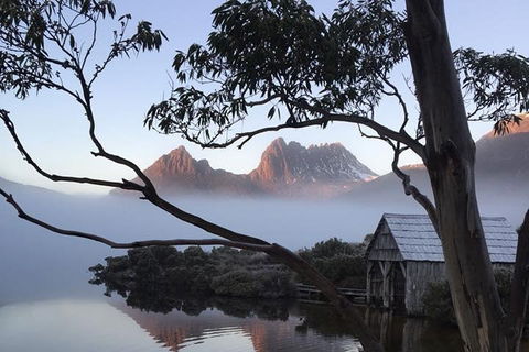 Cradle Mountain Park Explorer Guided Tour - Accommodation Guide 5