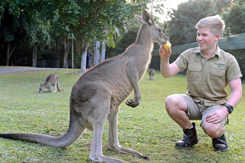 Small-Group Australia Zoo Day Trip From Brisbane - Accommodation China 4