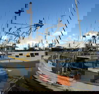 Beyond Byron Hinterland Tour - Accommodation Guide