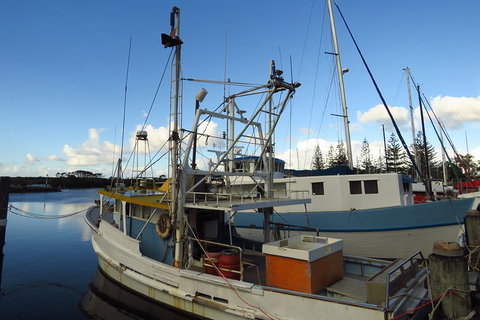 Beyond Byron Hinterland Tour - Accommodation Guide 0