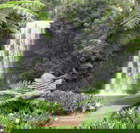 Private Daintree and Cape Tribulation Tour from Port Douglas - Accommodation Guide