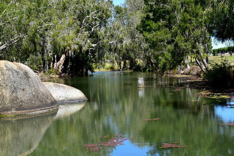 Private Daintree And Cape Tribulation Tour From Port Douglas - Accommodation Guide 3