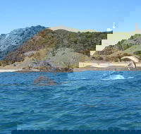 Kayaking with Dolphins in Byron Bay Guided Tour - Accommodation Asia