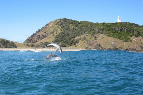 Kayaking With Dolphins In Byron Bay Guided Tour - Accommodation Asia 0
