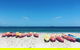Kayaking With Dolphins In Byron Bay Guided Tour - thumb 1