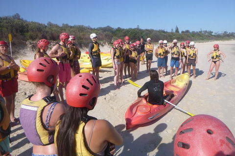 Kayaking With Dolphins In Byron Bay Guided Tour - Accommodation Asia 2