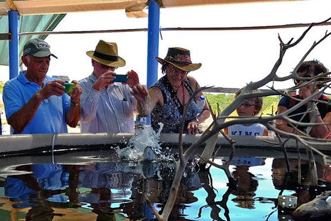 Cape Leveque 4WD Tour From Broome With Optional Return Flight - Accommodation Asia 0