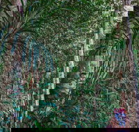 Atherton Tablelands Rain Forest by Night from Cairns - Accommodation China