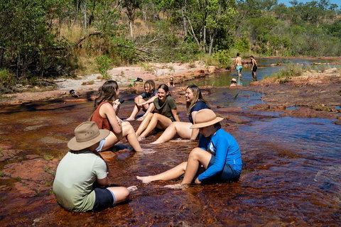 Litchfield National Park Waterfalls And Wildlife Tour From Darwin - Accommodation Guide 1