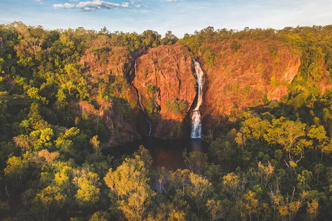 Litchfield National Park Waterfalls And Wildlife Tour From Darwin - Accommodation Guide 2