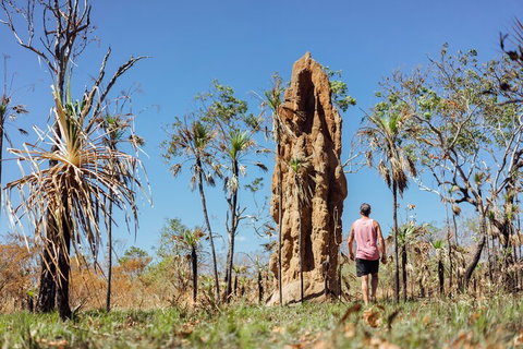 Litchfield National Park Waterfalls And Wildlife Tour From Darwin - Accommodation Guide 4
