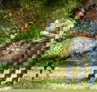 Great Ocean Road 2 Day Highlights Tour and sunset 12 Apostles - Accommodation China