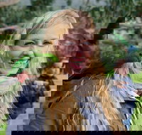 Great Ocean Road Reverse Itinerary with 12 Apostles from Melbourne - Accommodation China