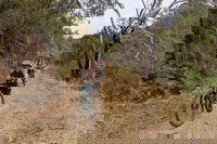 Mount Lofty Descent Bike Tour from Adelaide