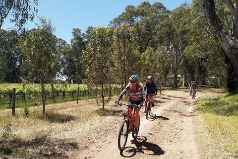McLaren Vale Wine Tour By Bike - Accommodation Asia 1