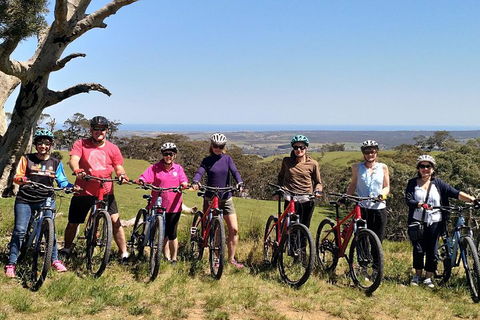 McLaren Vale Wine Tour By Bike - Accommodation Asia 2