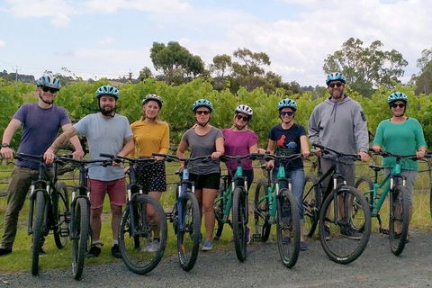 McLaren Vale Wine Tour By Bike - Accommodation Asia 4