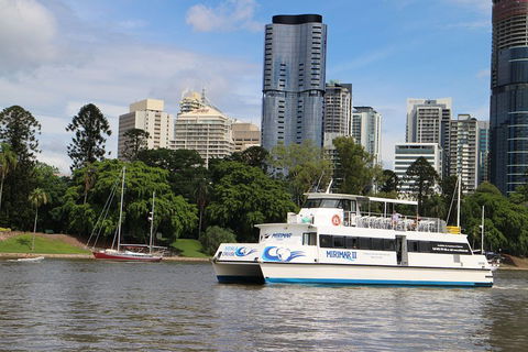 Lone Pine Koala Sanctuary Admission With Brisbane River Cruise - Accommodation Guide 2