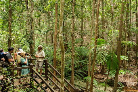 Fraser Explorer K'gari 2-Day Tour - Accommodation Guide 5