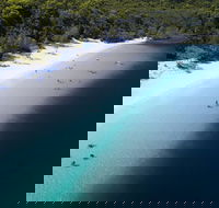 All-Inclusive Fraser Island Day Tour - Accommodation Guide