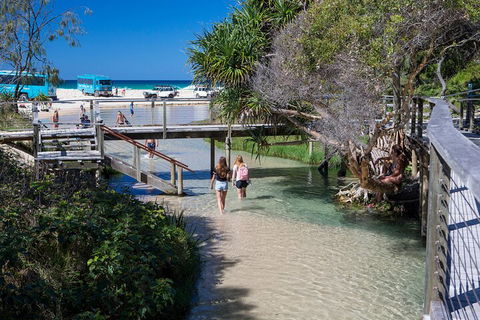 All-Inclusive Fraser Island Day Tour - Accommodation Guide 4