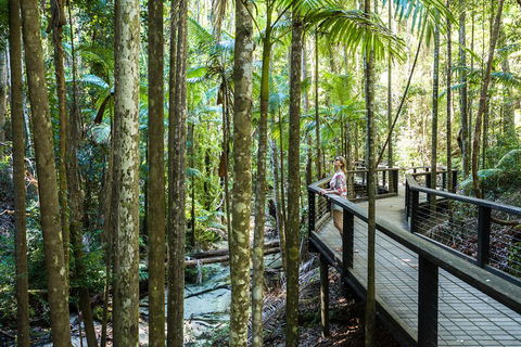 All-Inclusive Fraser Island Day Tour - Accommodation Guide 5