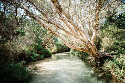 3-Day Fraser Island Resort Package - Accommodation Guide 5
