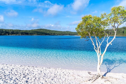 Lake McKenzie Full-Day Tour With Lunch From Hervey Bay - Accommodation Guide 1