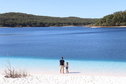 Lake McKenzie Full-Day Tour With Lunch From Hervey Bay - Accommodation Guide 2