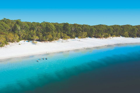 Lake McKenzie Full-Day Tour With Lunch From Hervey Bay - Accommodation Guide 4