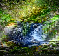Day Tour in Mt. Field Mt. Wellington Bonorong Wildlife Sanctuary and Richmond - Accommodation China
