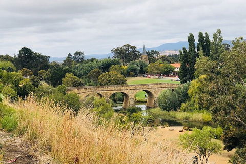 Day Tour In Mt. Field, Mt. Wellington, Bonorong Wildlife Sanctuary And Richmond - Accommodation China 3