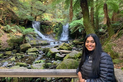 Day Tour In Mt. Field, Mt. Wellington, Bonorong Wildlife Sanctuary And Richmond - Accommodation China 5