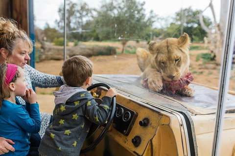 Werribee Open Range Zoo General Admission Ticket - Accommodation Guide 4