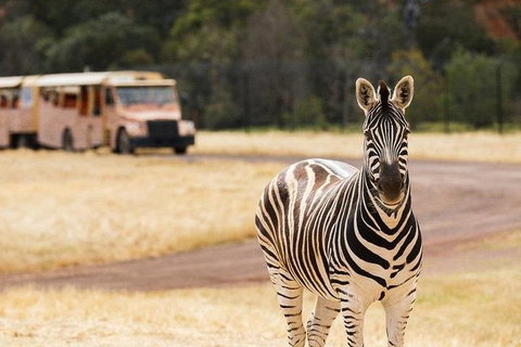 Werribee Open Range Zoo General Admission Ticket - Accommodation Guide 5