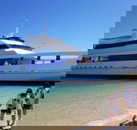 Moreton Island Day Trip Kayak Snorkel  Sandboard frm Brisbane or Gold Coast - Accommodation Guide