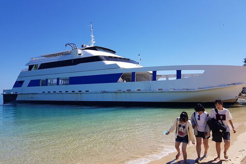 Moreton Island Day Trip (Kayak, Snorkel & Sandboard) Frm Brisbane Or Gold Coast - Accommodation Guide 0