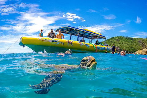 Great Barrier Reef Scenic Flight And Ocean Rafting Whitehaven Beach Day Trip - Accommodation Guide 1