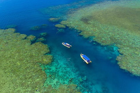 Great Barrier Reef Scenic Flight And Ocean Rafting Whitehaven Beach Day Trip - Accommodation Guide 4