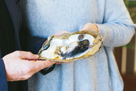 Half-Day Willie Creek Pearl Farm Tour With Helicopter Flight - Accommodation Guide 3
